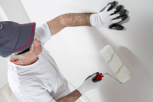  Centerville, MN Dry wall and painting Pros